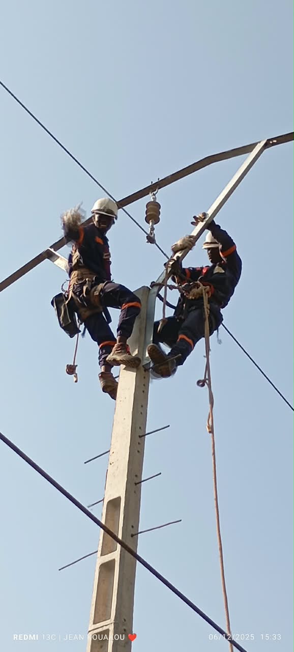 Technicien DIPRESS INTERNATIONAL fixant un isolateur en haut d'un poteau électrique