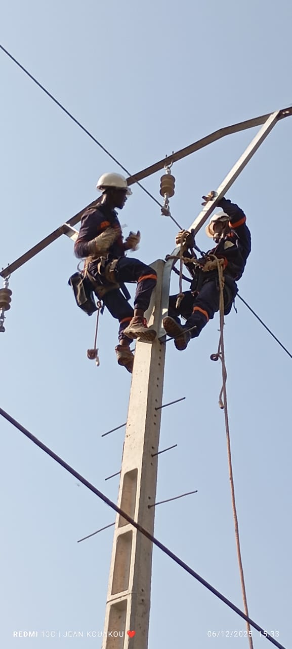 Techniciens DIPRESS INTERNATIONAL manipulant les isolateurs en haut d'un poteau électrique